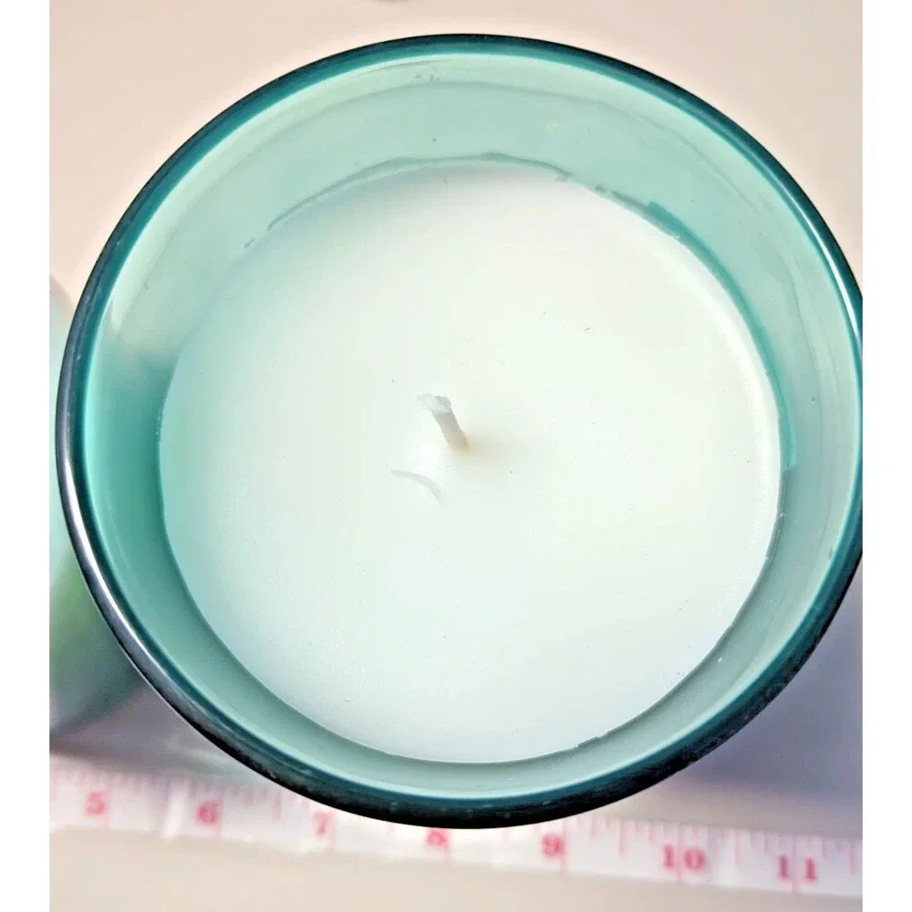 2 Pack - Citronella Candle Outdoor Indoor, 13 oz 1-Wick Jar Candle for Summer